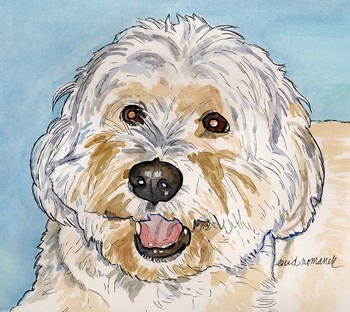Mixed Breed 2
