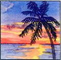 Paradise Found Sarasota